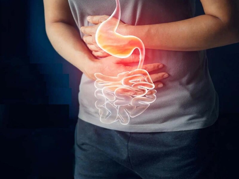 पाचन क्रिया