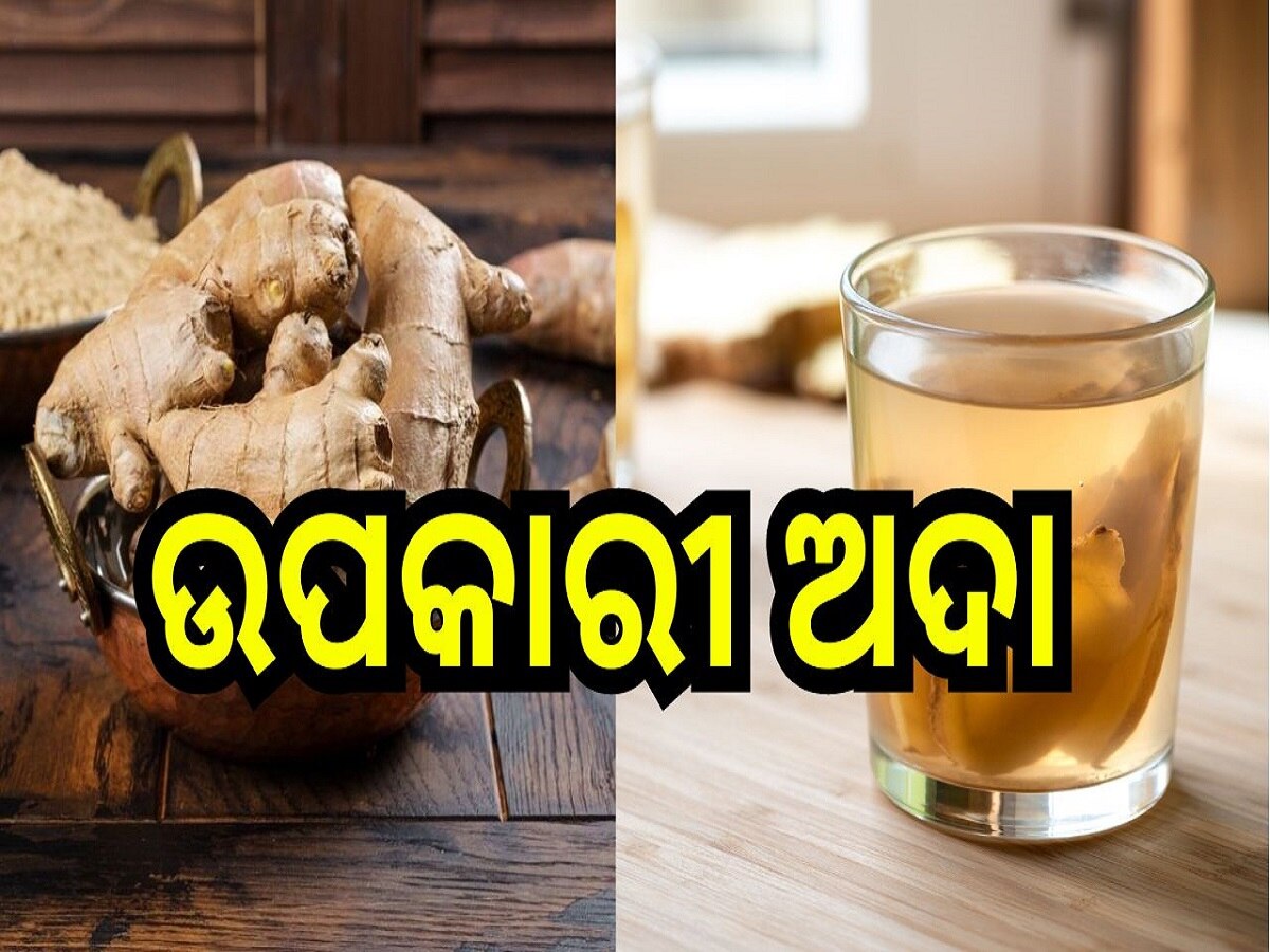 Benefits OF Ginger: ପ୍ରତିଦିନ ଖାଆନ୍ତୁ ଅଦା, ସବୁଦିନ ପାଇଁ ଦୂର ହୋଇଯିବ ଏହି ୫ଟି ରୋଗ!