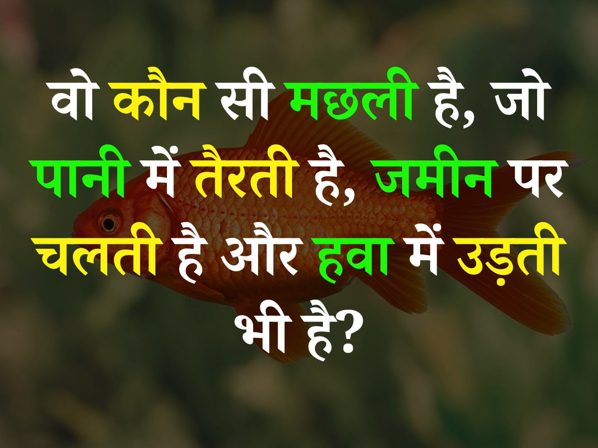 Quiz: वो कौन सी मछली है, जो पानी में तैरती है, जमीन पर चलती है और हवा में उड़ती भी है?