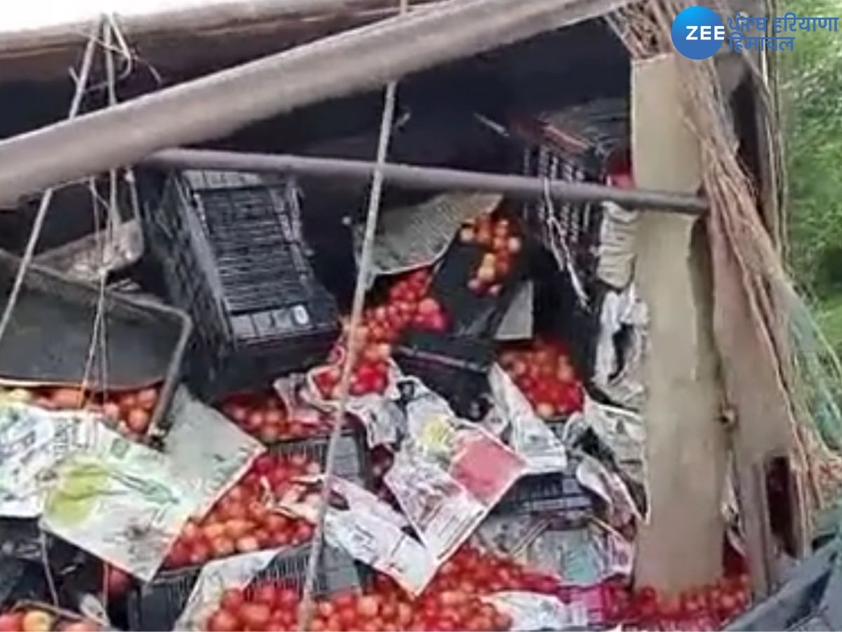 Tomato Loot Viral Video: नेशनल हाइवे पर लूट लिए गए लाखों के टमाटर! लोग महंगाई से है परेशान