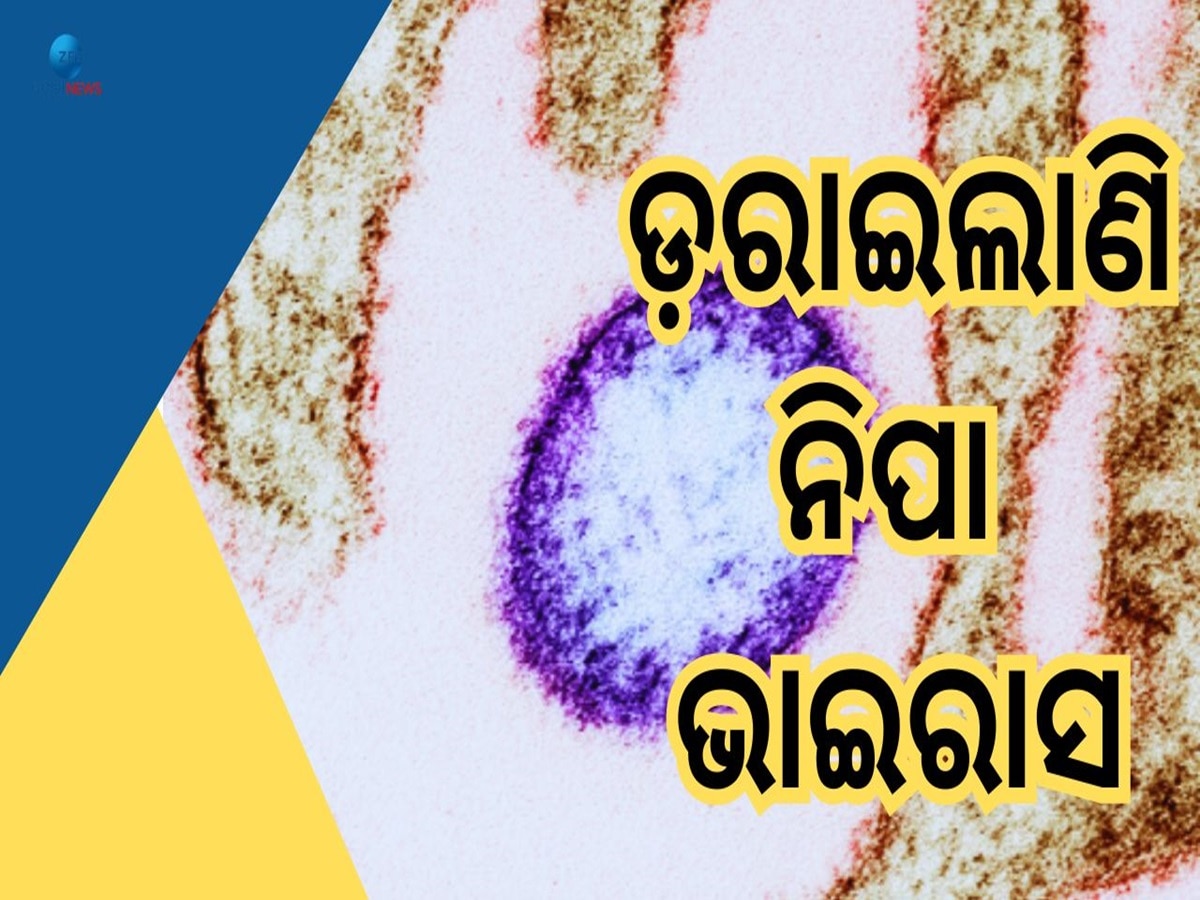 Nipha Virus: କେରଳରେ ଆତଙ୍କ ଖେଳାଇଲାଣି ନିପା ଭାଇରାସ, ଚିନ୍ତା ପ୍ରକଟ କଲା ସ୍ୱାସ୍ଥ୍ୟବିଭାଗ 