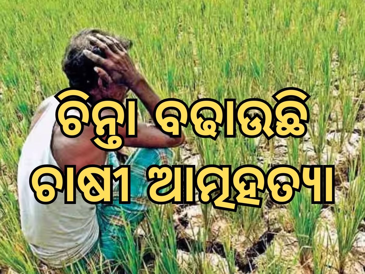 Farmer Suicide: ଡରାଉଛି ଚାଷୀ ମୃତ୍ୟୁ ସଂଖ୍ୟା, ବର୍ତ୍ତମାନ ସୁଦ୍ଧା ଗଲାଣି ୧୨୬୭ ଜଣ ଚାଷୀଙ୍କ ଜୀବନ