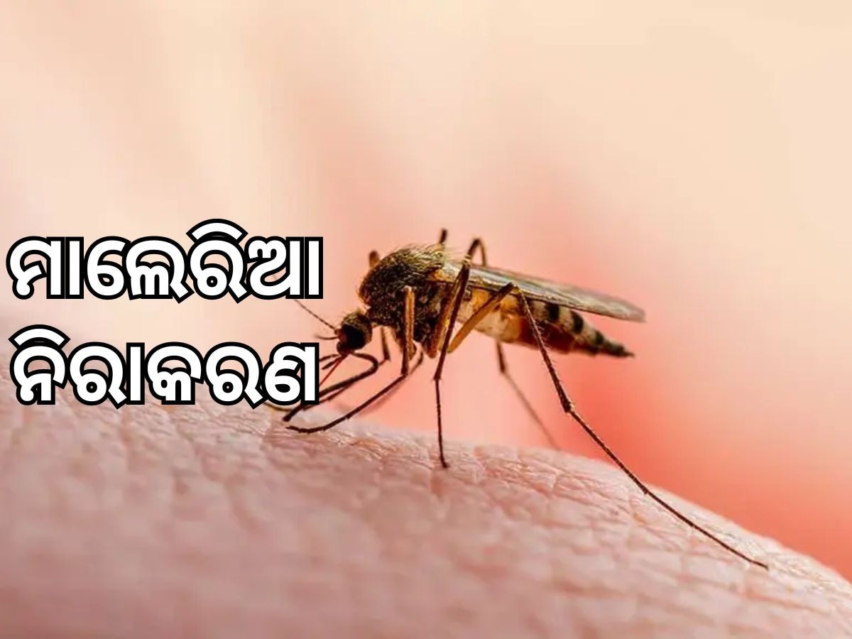 Malaria Nirakaran: ମ୍ୟାଲେରିଆ ବିରୋଧରେ ମିଳିତ ଉଦ୍ୟମ: ଶ୍ରୀ ଶ୍ରୀ ବିଶ୍ୱବିଦ୍ୟାଳୟର ନିରାକରଣ ଅଭିଯାନ