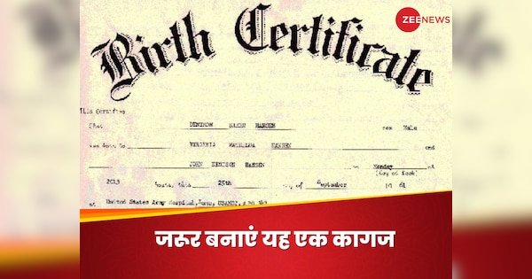 ONLINE BIRTH CERTIFICATE FORM PDF HINDI visual data 7