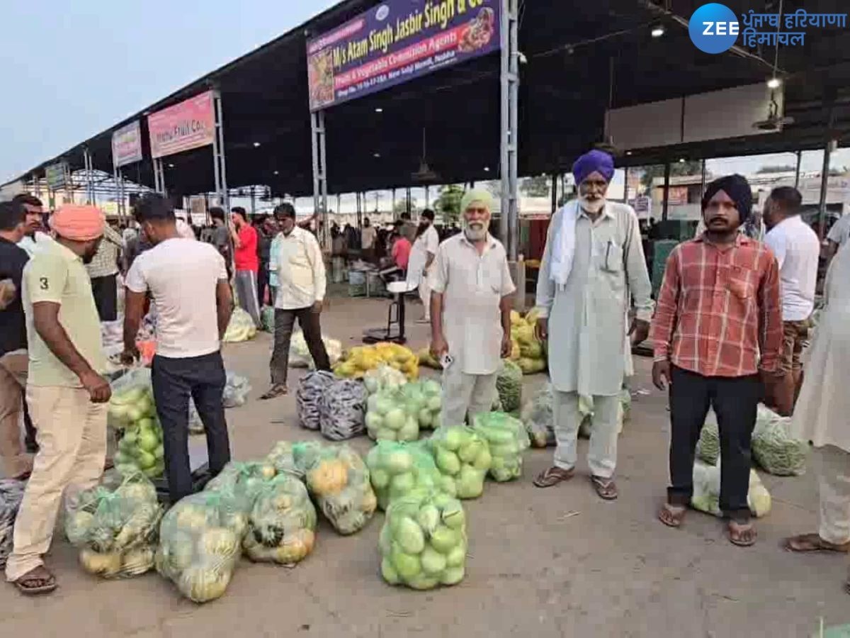 Nabha News: ਮੰਡੀ 'ਚ ਕੋਡੀਆਂ ਦੇ ਭਾਅ ਸਬਜ਼ੀਆਂ ਵੇਚਣ ਨੂੰ ਮਜ਼ਬੂਰ ਕਿਸਾਨ, ਬਜ਼ਾਰਾਂ 'ਚ ਤਿੰਨ ਗੁਣਾ ਕੀਮਤ