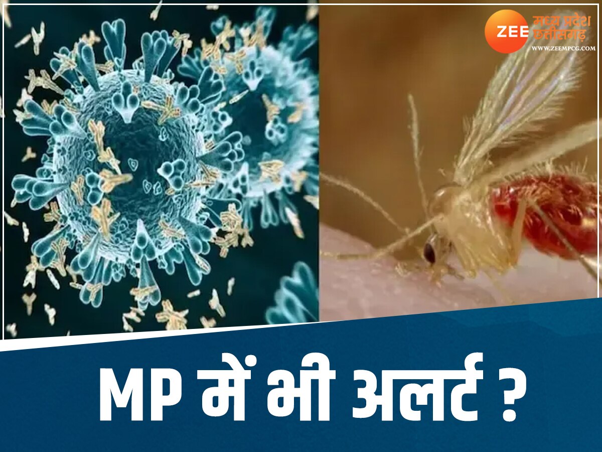 chandipura virus alert in mp and rajasthan