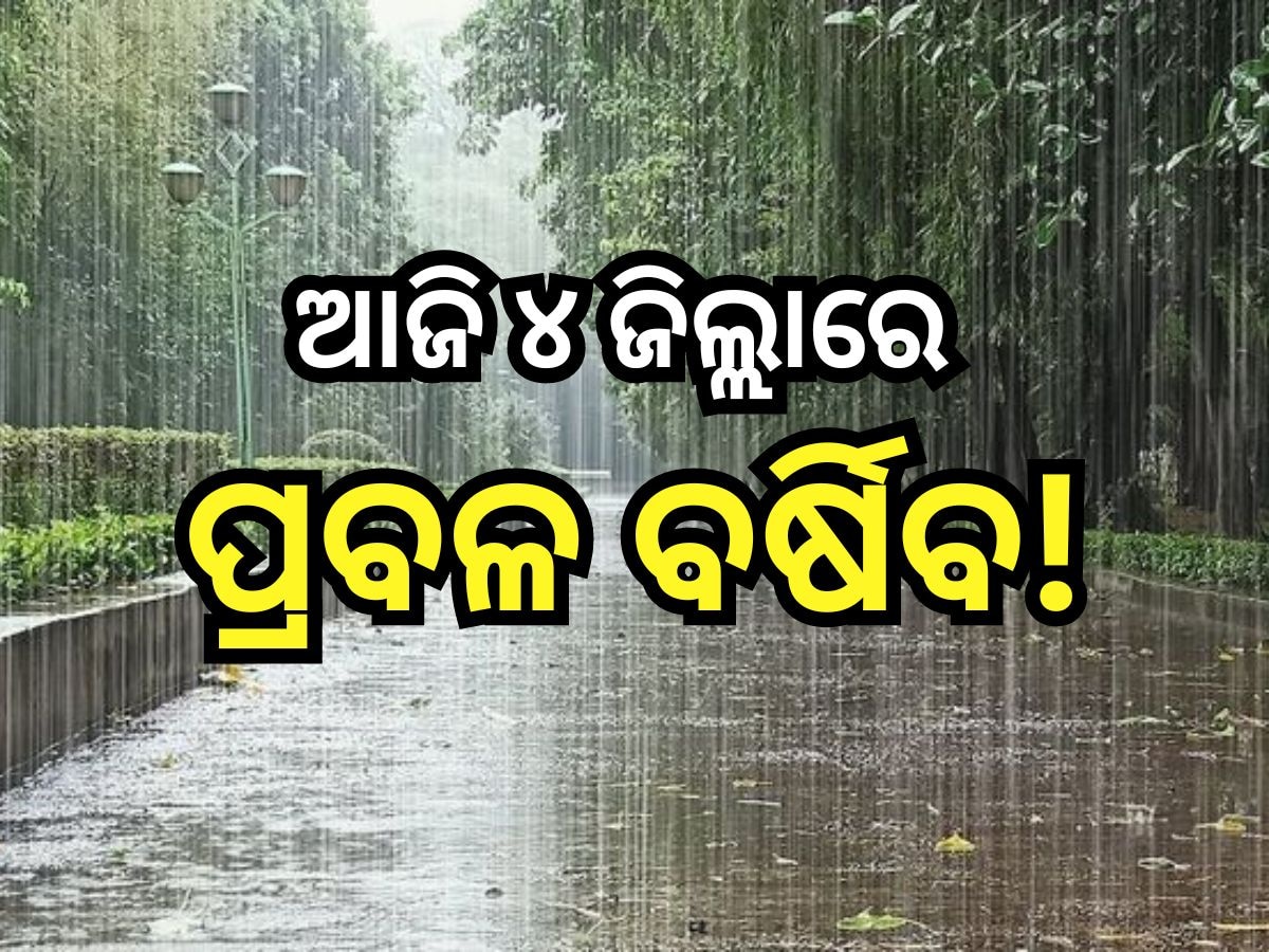 Weather Update: ଆଜି ପ୍ରବଳ ବର୍ଷା ନେଇ ଏହିସବୁ ଜିଲ୍ଲାକୁ ୟେଲୋ ଆଲର୍ଟ ଜାରି