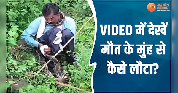 Python gripped man very close to eat him people saved life watch ...