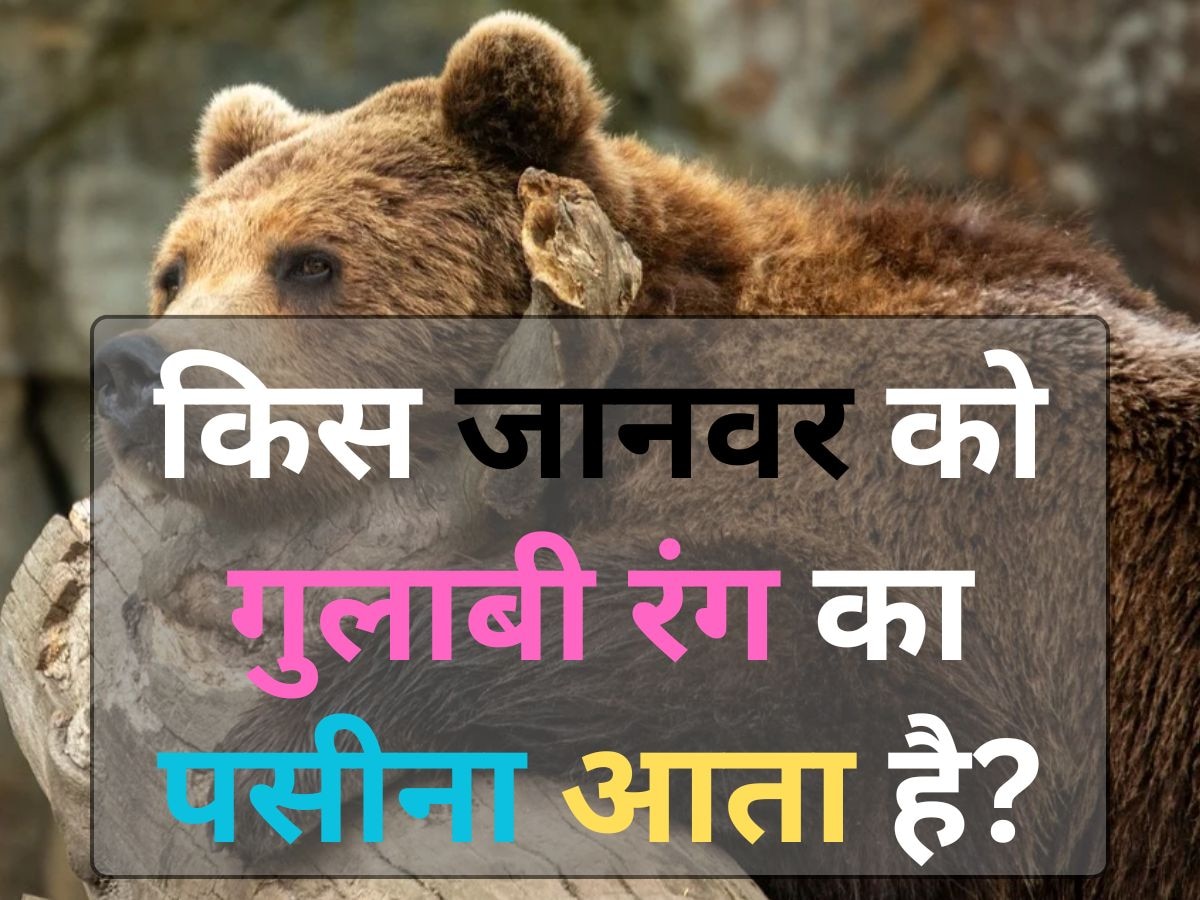 एक ऐसा जानवर जिसे गुलाबी रंग का पसीना आता है, क्या आप जानते हैं उसका नाम?