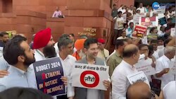 ਪੰਜਾਬ ਦੇ ਸੰਸਦ ਮੈਂਬਰਾਂ ਨੇ ਕੇਂਦਰੀ ਬਜਟ ਦੇ ਮੁੱਦੇ 'ਤੇ ਕੀਤਾ ਰੋਸ ਪ੍ਰਦਰਸ਼ਨ