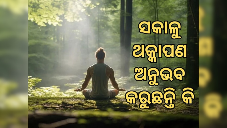 Health Tips: ସକାଳୁ ଥକାପଣ ଅନୁଭବ କରୁଛନ୍ତି କି, ଆପଣାନ୍ତୁ ଏହି ପଦକ୍ଷେପ ଆଉ ରୁହନ୍ତୁ ଫିଟ...