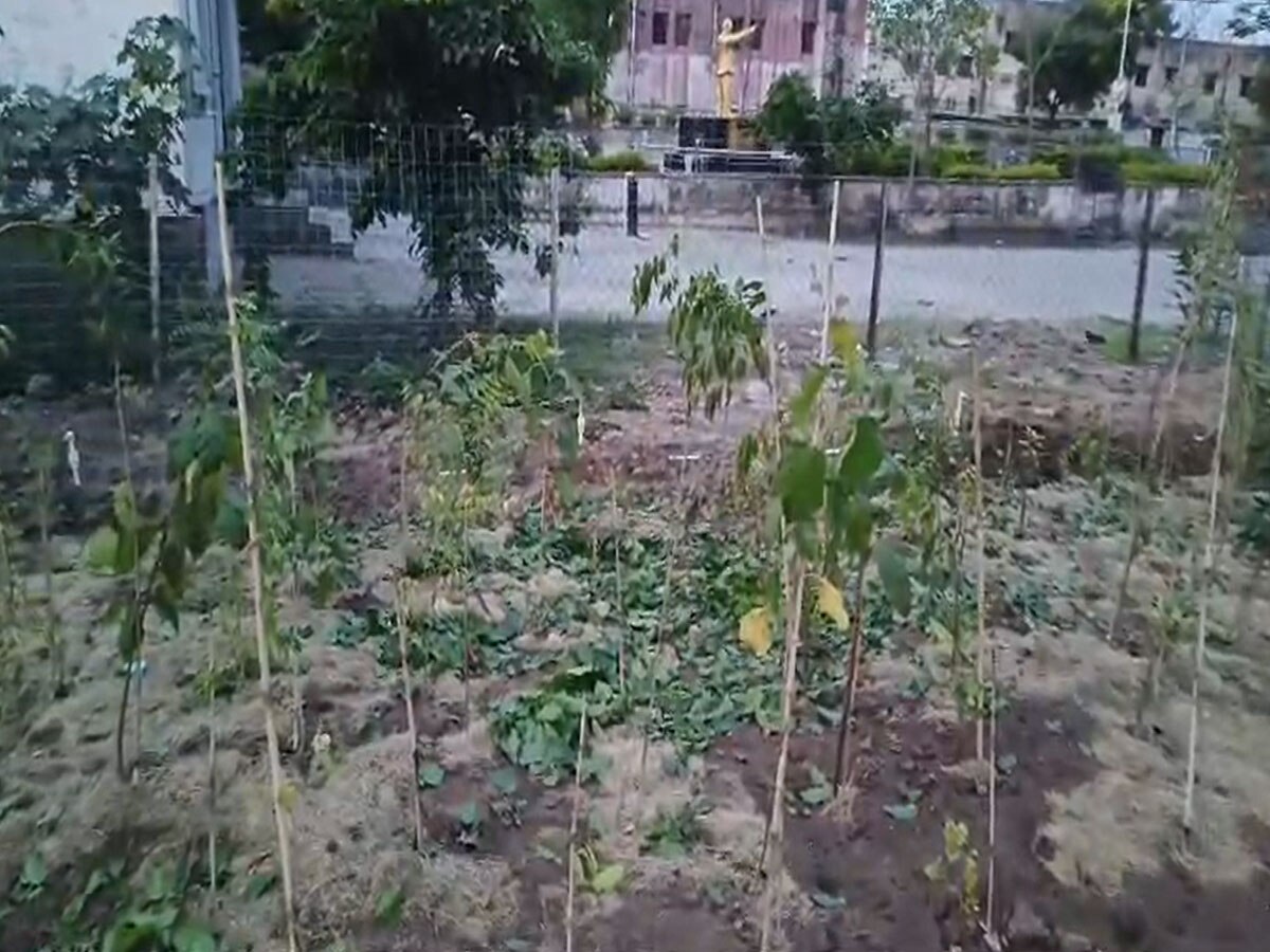 Bhilwara News: पर्यावरण प्रेमी मित्र मंडल शहर में लगाएगा 2 हजार पेड़, 7 हजार पौधे लगाने का लक्ष्य
