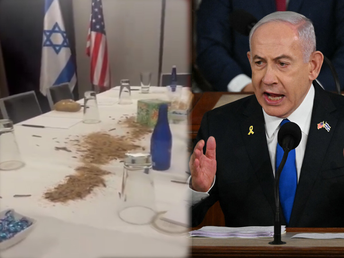Netanyahu in US: फिलिस्तीनी समर्थकों ने नेतन्याहू को किया परेशान, खाने की टेबल पर डाले कीड़े Netanyahu in US: फिलिस्तीनी समर्थकों ने नेतन्याहू को किया परेशान, खाने की टेबल पर डाले कीड़े