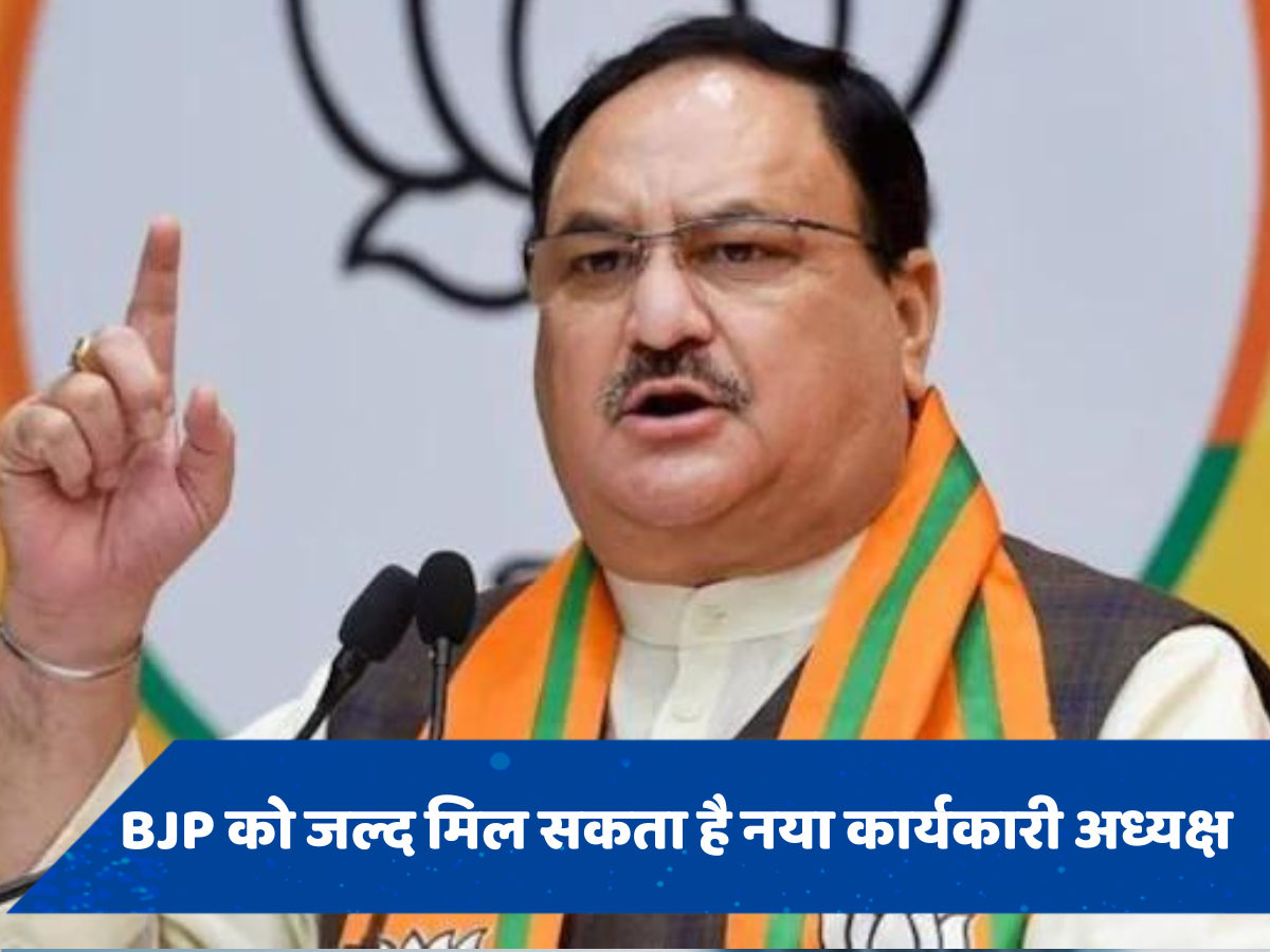 भाजपा को जल्द मिल सकता है नया कार्यकारी अध्यक्ष! अगस्त के आखिरी तक हो सकती है जेपी नड्डा की छुट्टी
