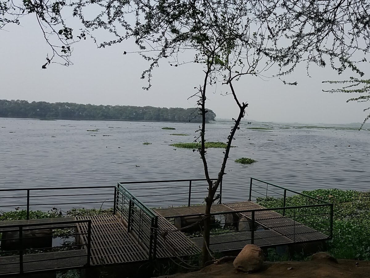 मानसून में घूमें दिल्ली की ये खूबसूरत झील, सुंदर नजारें भुला देंगे नैनीताल 