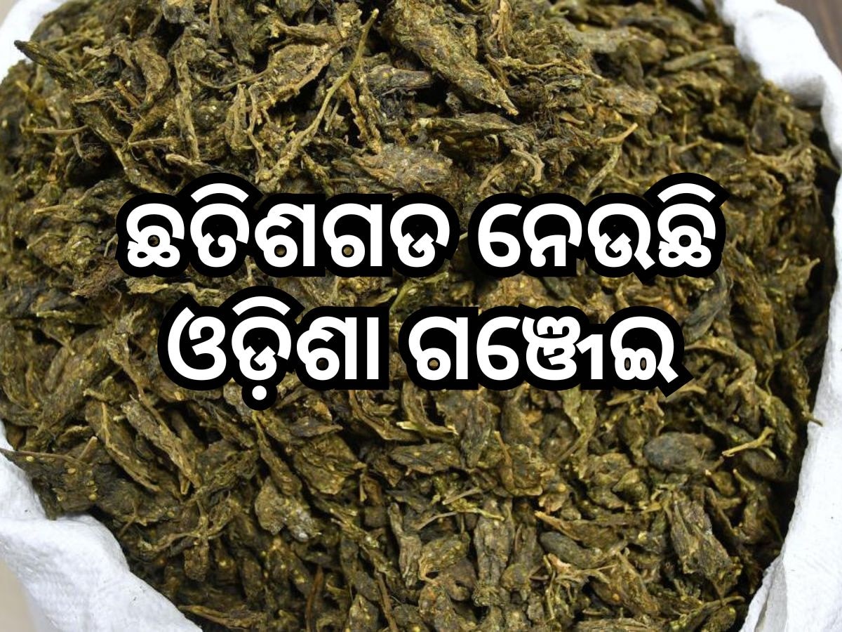 ଛତିଶଗଡ଼କୁ ଗଞ୍ଜେଇ ଚୋରା ଚାଲାଣ, ୬ ଜଣଙ୍କୁ ଧରିଲା ପୋଲିସ