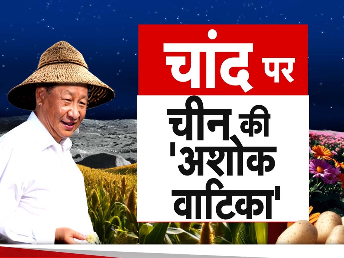 China News: चांद पर फल- सब्जी उगाएगा चीन? चंद्रमा से लेकर आया मिट्टी के नमूने, पानी की मौजूदगी का किया दावा