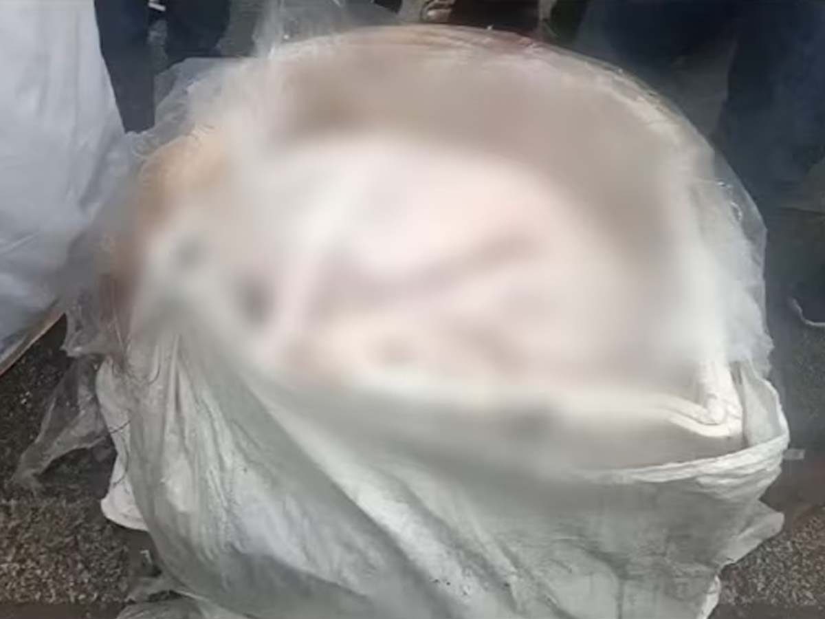 कर्नाटक में गोश्त पर हंगामा! क्या वाकई होटलों में परोसा जा रहा कुत्ते का मांस? जानें कर्नाटक में गोश्त पर हंगामा! क्या वाकई होटलों में परोसा जा रहा कुत्ते का मांस? जानें