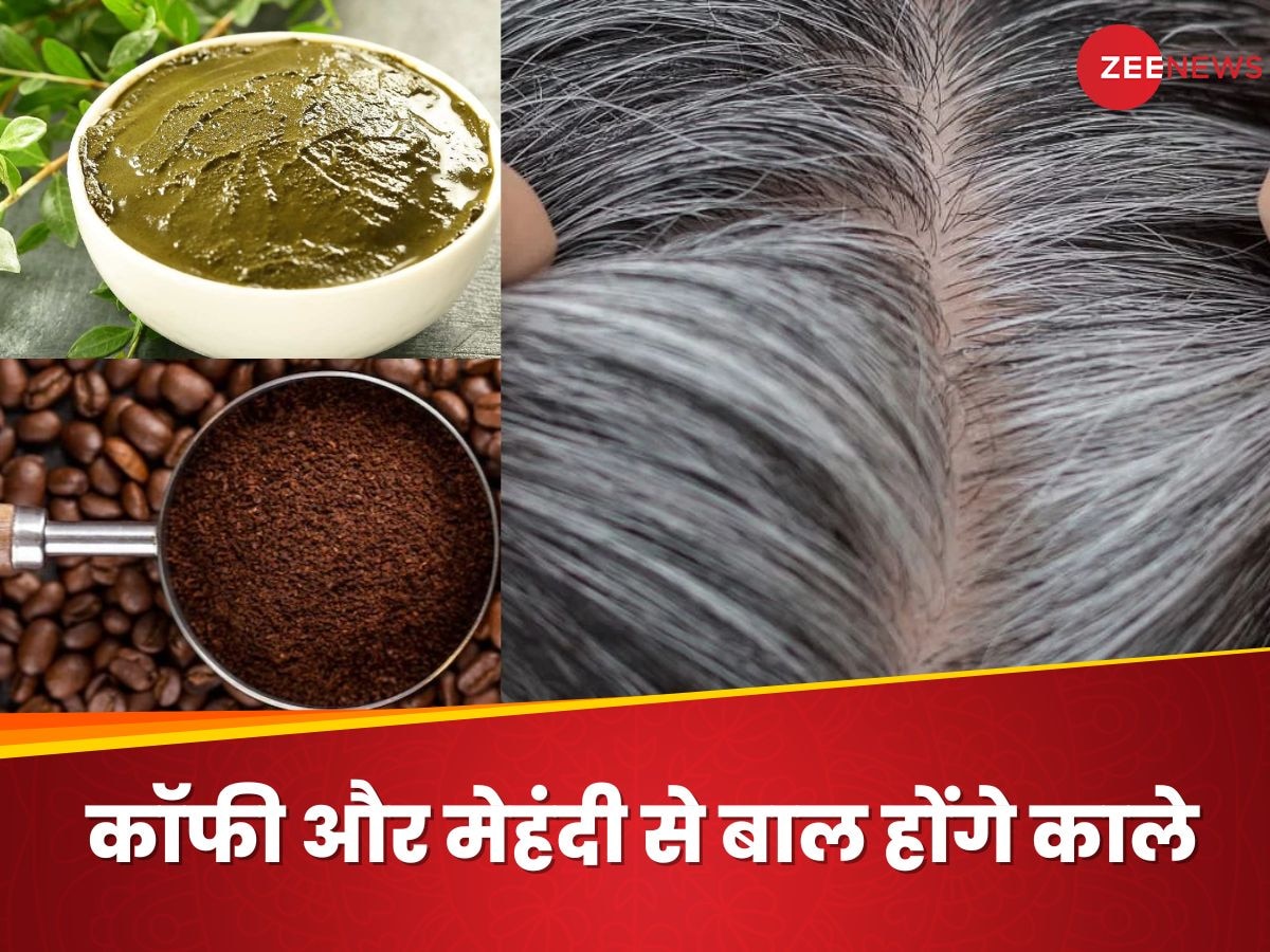 White Hair: कॉफी और मेहंदी की मदद से कैसे सफेद बालों कर कर सकते हैं काले? 