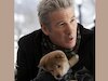 हैची अ डॉग टेल (Hachi A Dog Tale)