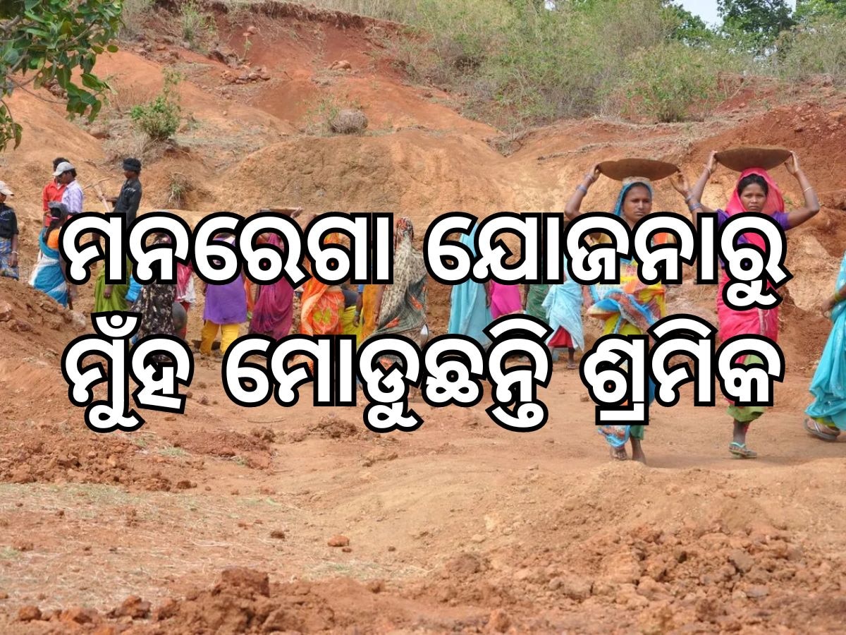 MGNREGA Data: ଏମଜିଏନଆରଜିଏ ପ୍ରତି ଆଗ୍ରହ ଦେଖାଉନାହାନ୍ତି ଶ୍ରମିକ, ଓଡ଼ିଶାରେ ମାତ୍ର ୫୫ ଦିନ କାମ କରୁଛନ୍ତି ଶ୍ରମିକ