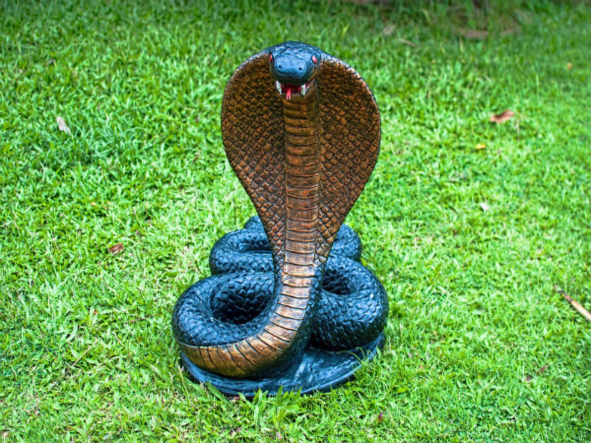 Know real story behind celebrating Nag Panchami