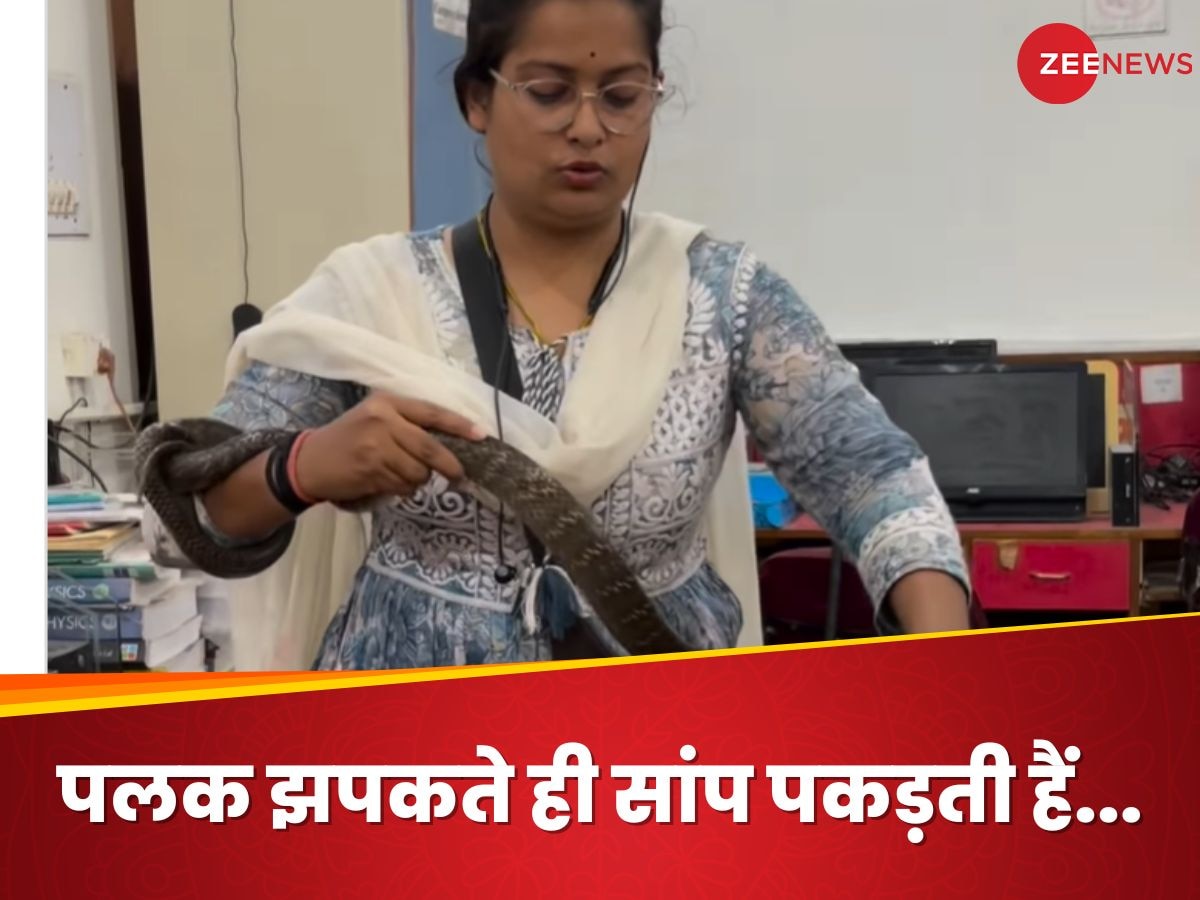  Snake Rescuer: चुटकी में सांप पकड़ने वाली 'सिंघम', बिना किसी मदद के हाथों में थामा, वायरल गर्ल को नहीं लगता डर