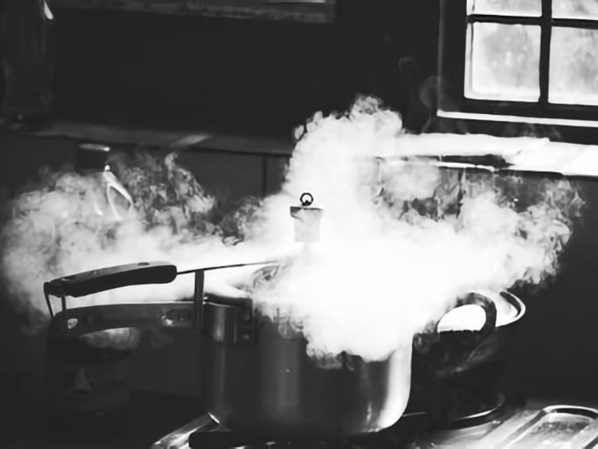 Follow these Safety Tips while cooking in Pressure Cooker to prevent blast | Pressure Cooker Safety Tips: प्रेशर कुकर बन सकता है बम, इस्तेमाल करते समय बरतें ये सावधानियां | Hindi News,