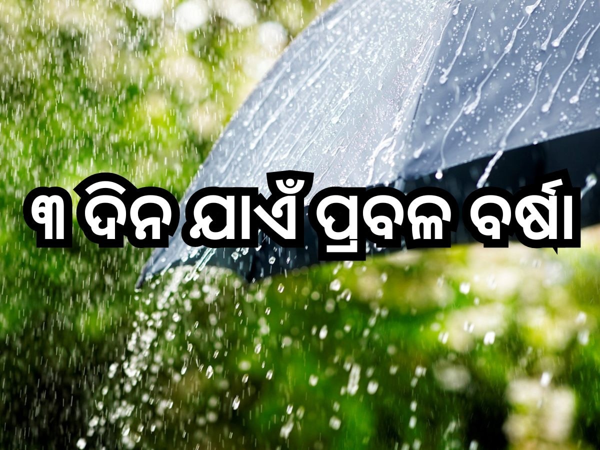 Weather Update: ପାଣିପାଗ ବିଭାଗର ସତର୍କ ସୂଚନା, ୧୨ ଜିଲ୍ଲାକୁ ପ୍ରବଳ ବର୍ଷା ନେଇ ଆଲର୍ଟ ଜାରି