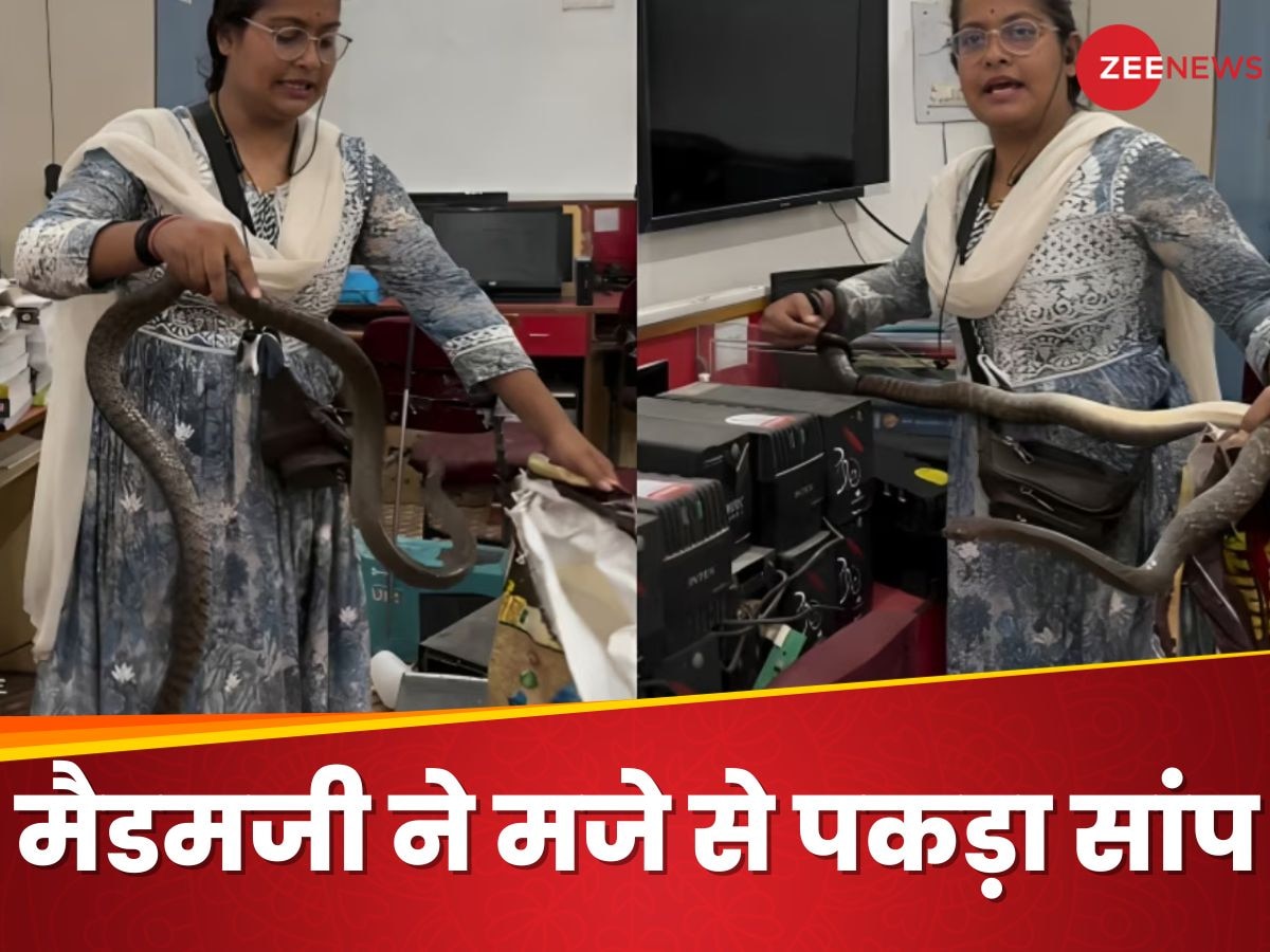 Video: ऐसा लगा कंप्यूटर ठीक करने आई हैं 'मैडम साहिबा', लेकिन चुटकी बजाते एक हाथ से पकड़ा खतरनाक सांप