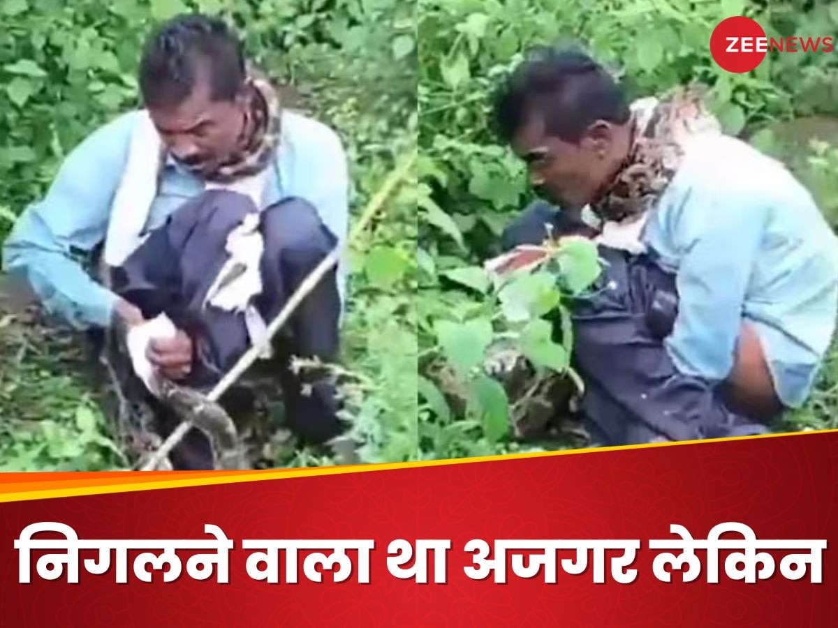 Video: खेत में कर रहा था शौच, चुपके से आया अजगर और घोंट दिया गला, जिंदा निगलने ही वाला था तभी...