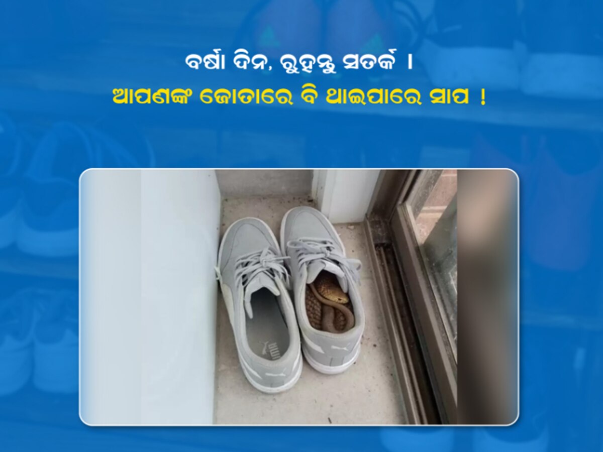 Monsoon snake safety tips (Photo Credit- Odisha Police)