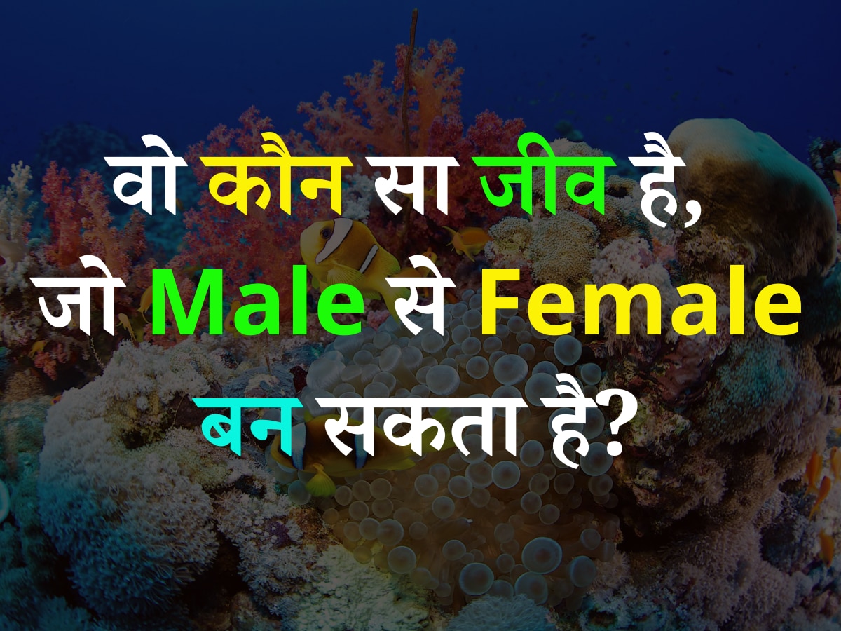 Quiz: वो कौन सा जीव है, जो Male से Female बन सकता है?