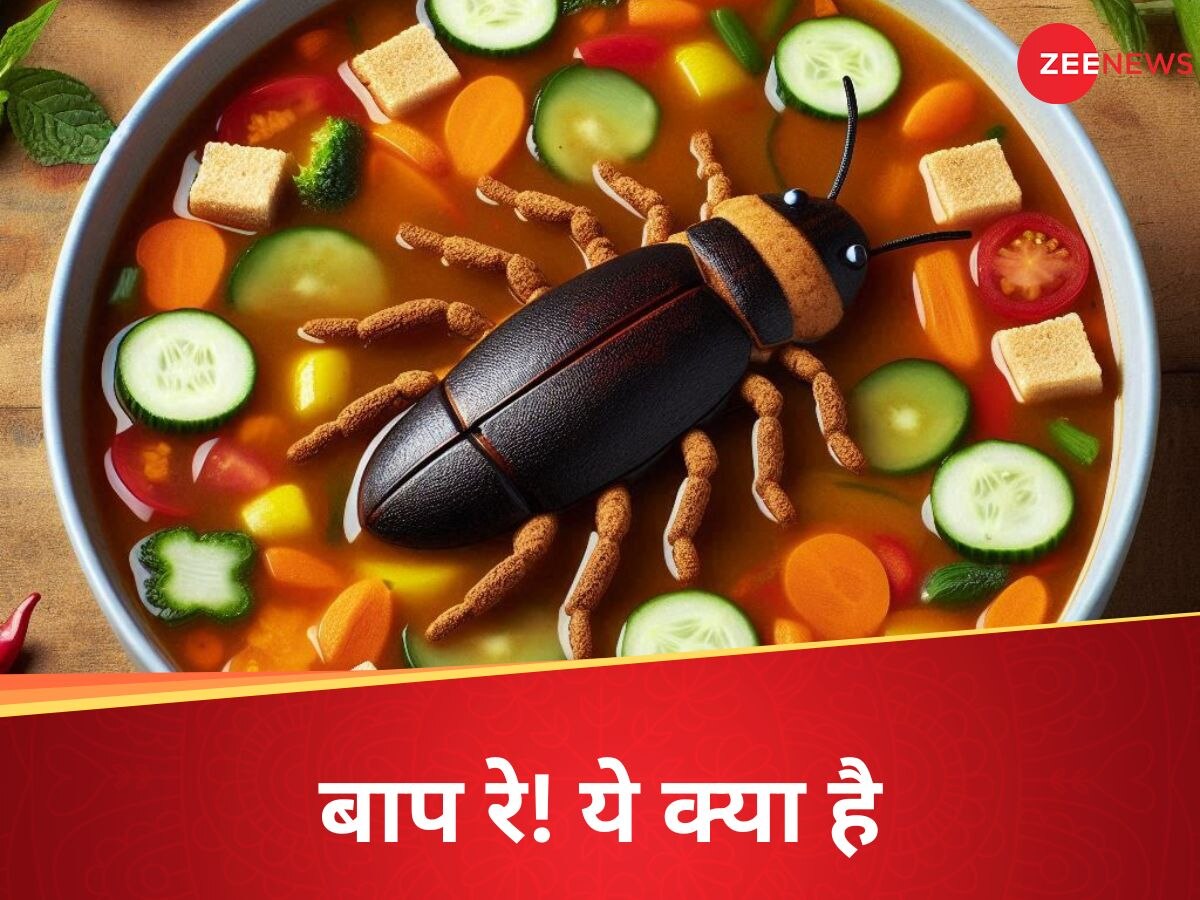 Cockroach in Sambhar: हे भगवान! फाइव स्टार होटल में सांभर में मिला मरा कॉकरोच