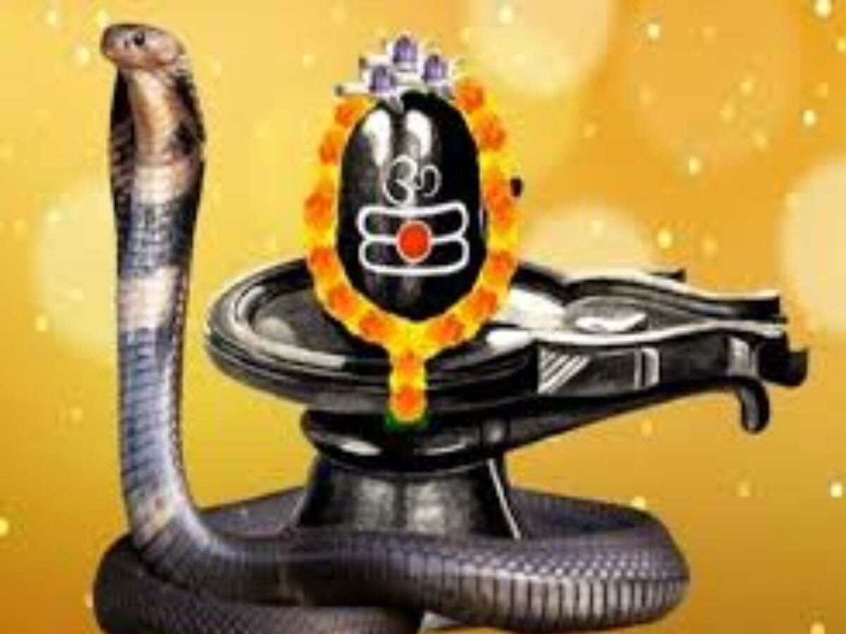 chant this mantra on the day of nag panchami you will get immense money ...