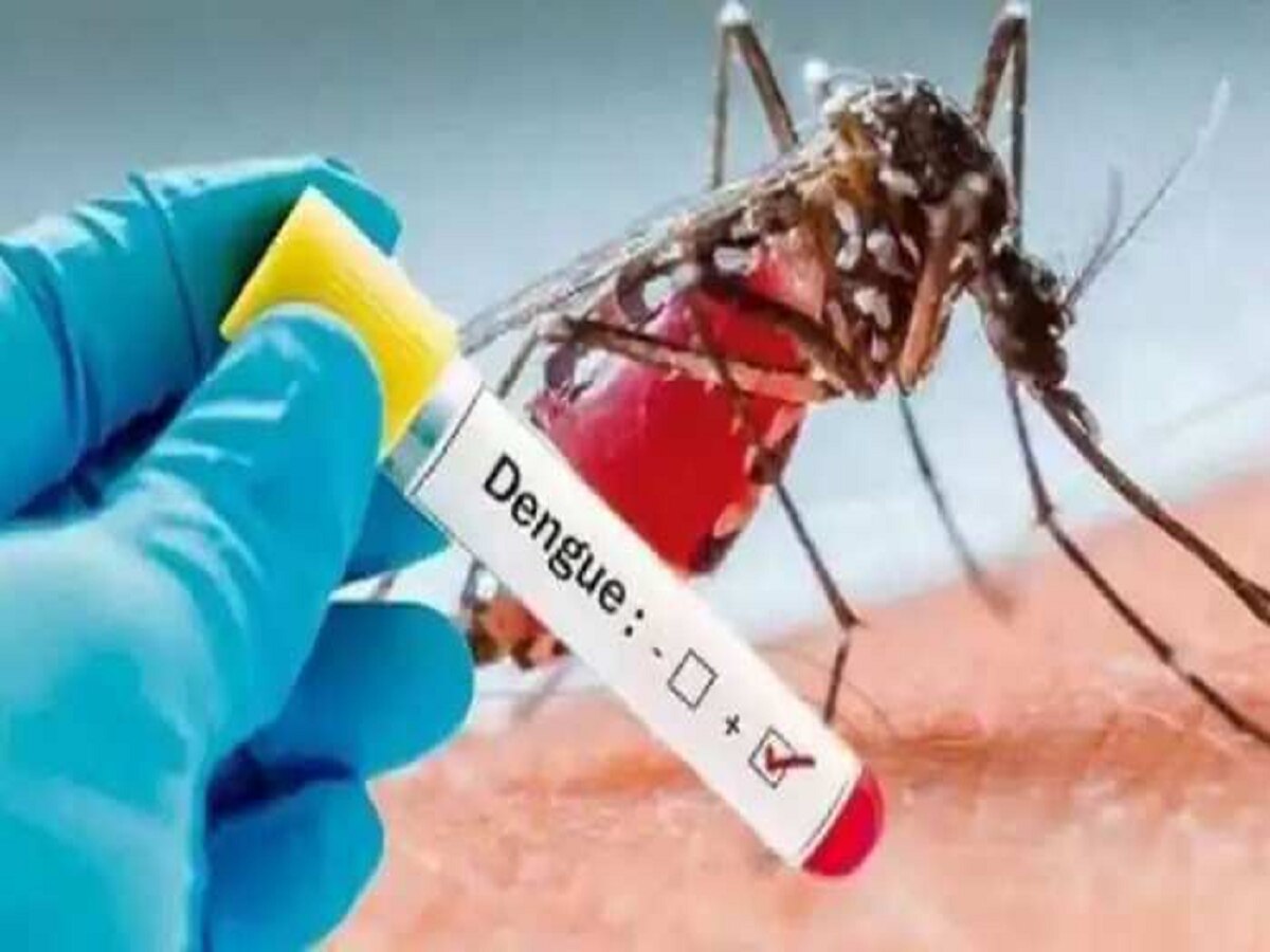 Dengue In Bihar: बिहार में डेंगू के मरीजों की बढ़ रही संख्या, 'हॉट स्पॉट' पर कड़ी नजर