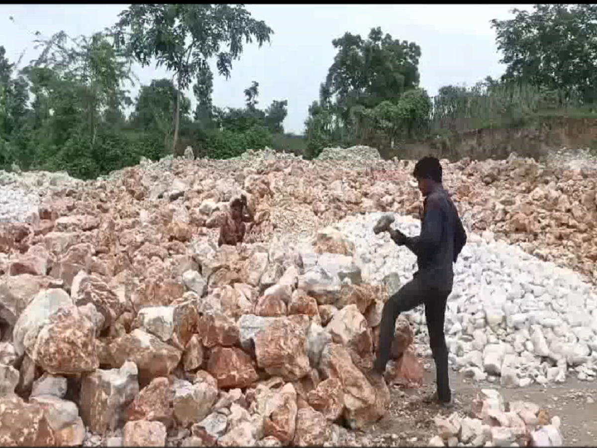 Dungarpur News: खनिज विभाग ने क्वार्ट्ज की 2 माइंस पर मारा छापा, लगाया 2 करोड़ से ज्यादा की जुर्माना Dungarpur News: खनिज विभाग ने क्वार्ट्ज की 2 माइंस पर मारा छापा, लगाया 2 करोड़ से ज्यादा की जुर्माना