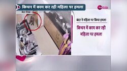 Greater Noida: किचन में काम कर रही महिला पर बंदर ने किया हमला, सीसीटीवी वीडियो वायरल