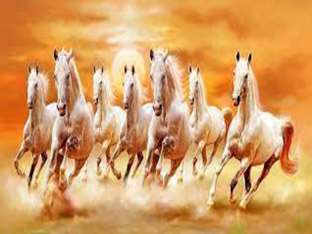 vastu tips for horse painting