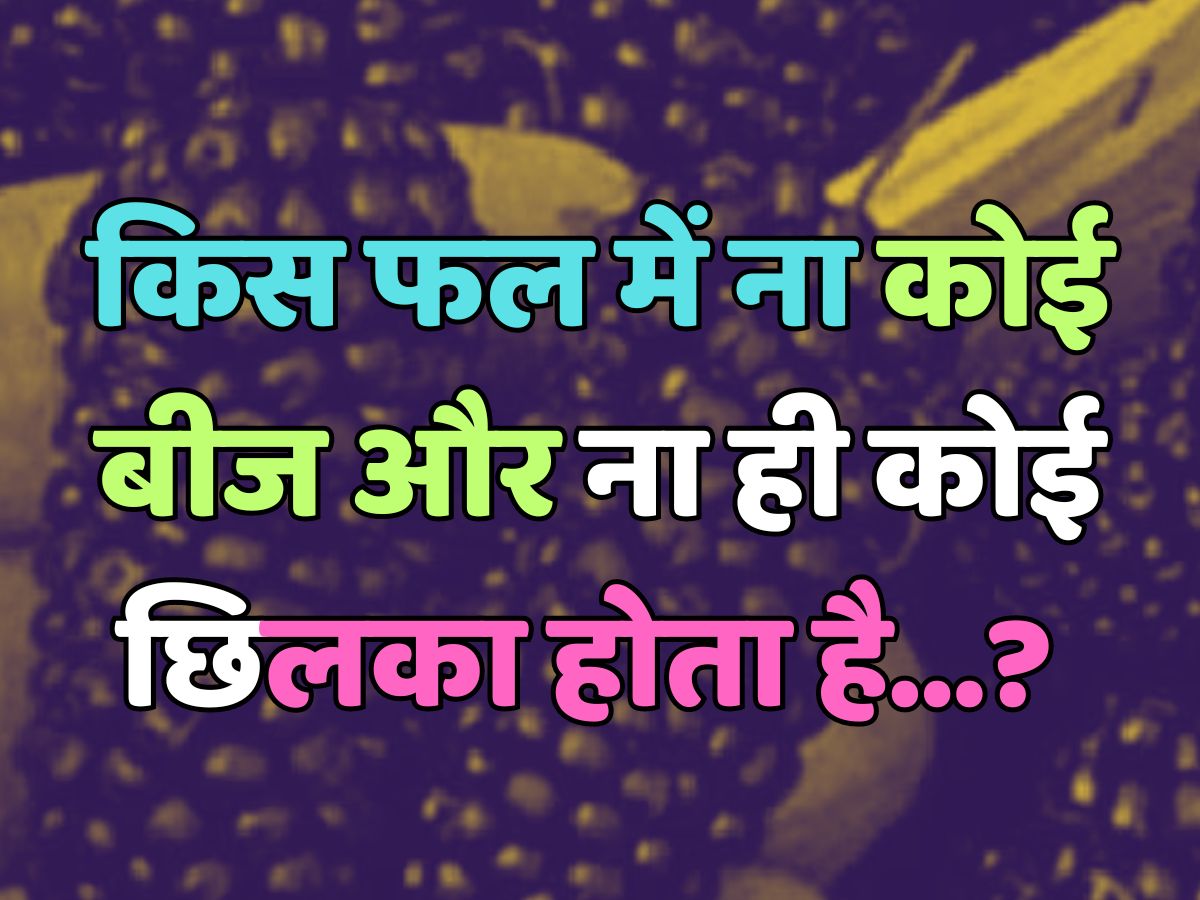 Trending Quiz : ऐसा कौन-सा फल है, जिसमें ना कोई बीज और ना ही कोई छिलका होता है? Trending Quiz : ऐसा कौन-सा फल है, जिसमें ना कोई बीज और ना ही कोई छिलका होता है?