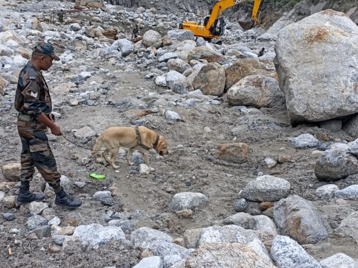 हिमाचल में आई तबाही में अब लाइव डिटेक्टर डिवाइस से चलाया जा रहा सर्च ऑपरेशन, स्निफर डॉग भी बना  हिस्सा, जानें कैसे होगी लापता की खोज