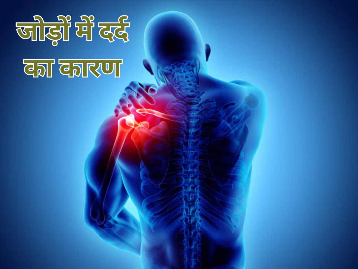 Joint Pain Reason: जोड़ों में दर्द क्यों होता है? ज्वाइंट्स को टूटने से बचाने के लिए, एक्सपर्ट से जानें कारण और उपाय