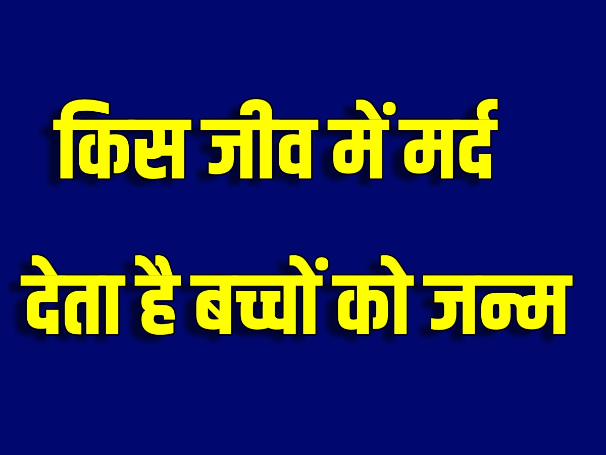 Quiz: वो कौन-सा जीव है, जिसमें स्त्री नहीं बल्कि पुरुष बच्चे को जन्म देता है?