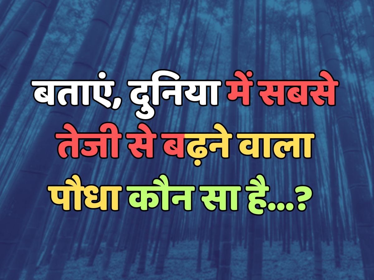 Trending Quiz : बताएं, दुनिया में सबसे तेजी से बढ़ने वाला पौधा कौन सा है? 