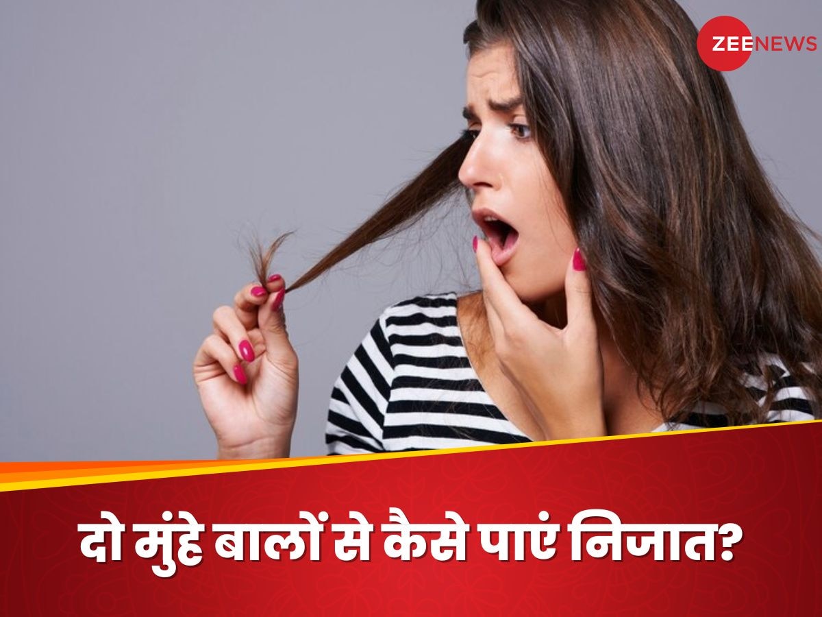 Split Ends: बिना कैंची से काटे दो मुंहे बालों का मिट जाएगा नामोनिशान, ये 3 तरीके आएंगे आपके काम