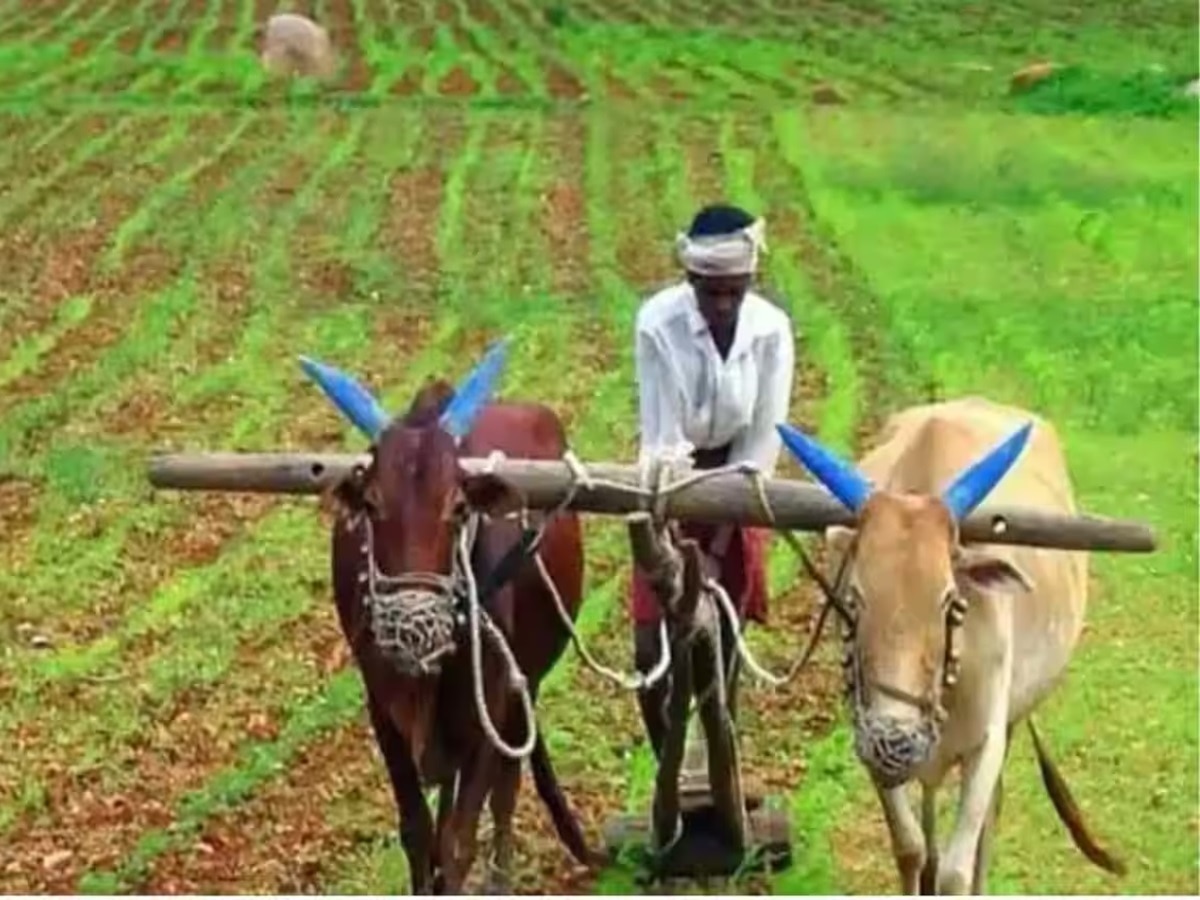 प्रतीकात्मक तस्वीर