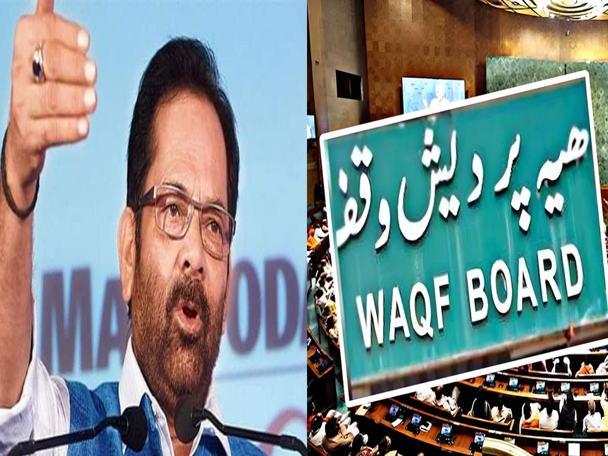 Waqf Board Act: किसी ने कहा वक्फ में हस्तक्षेप बर्दाश्त नहीं, तो नकवी ने कहा- वक्फ सिस्टम को टच मी नॉट की सनक, जानें पूरा मामला