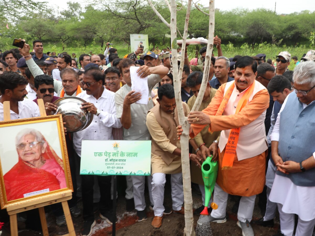 PM मोदी की तारीफ के बाद एमपी में और जोर पकड़ रहा 'एक पेड़ मां के नाम' अभियान; आज फिर लगाए जाएंगे लाखों पौधे