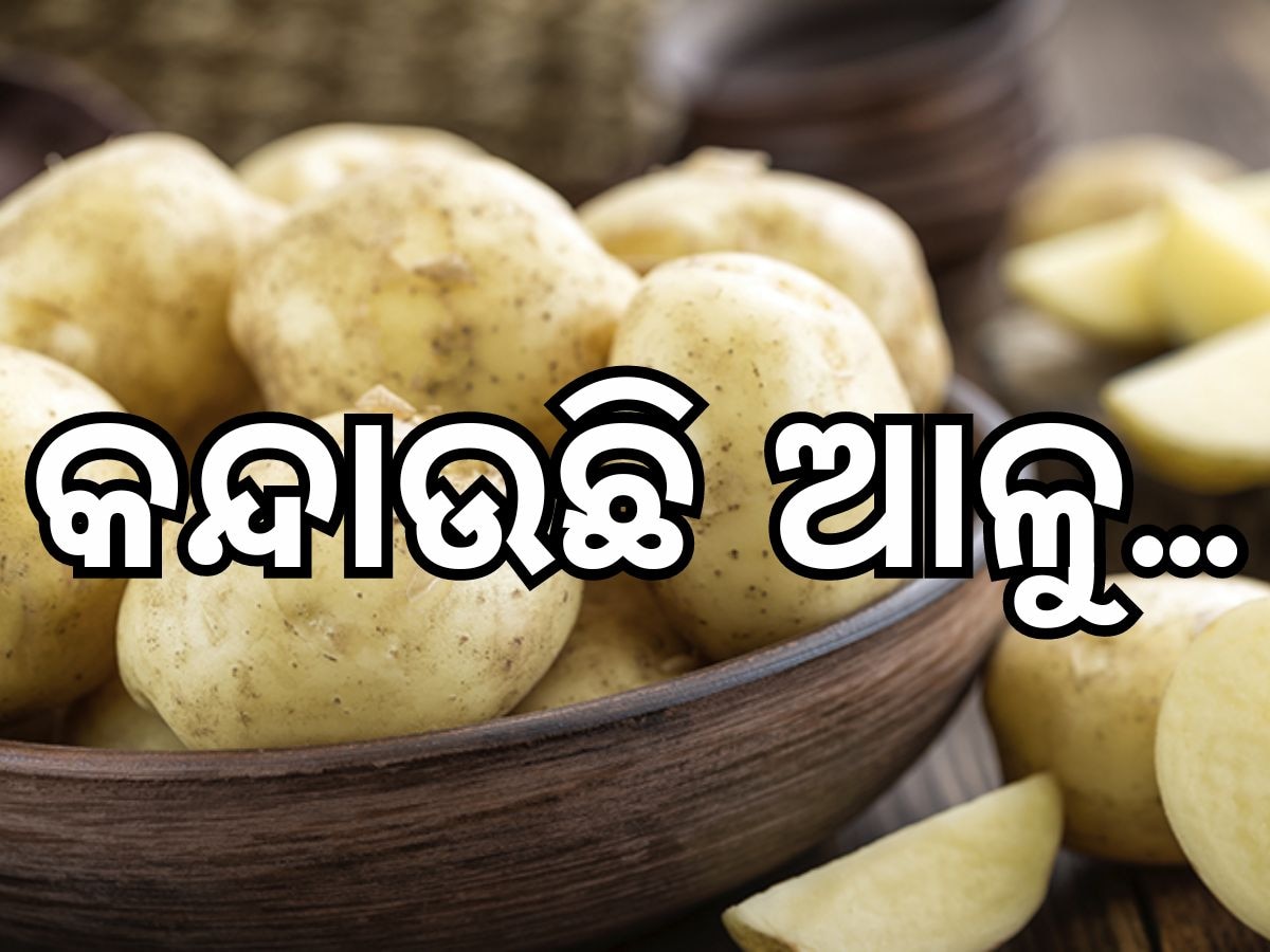 Potato Crisis: ତୁଟୁନି ଆଳୁ ସମସ୍ୟା, ବଢୁଛି ଆଳୁ ଦର