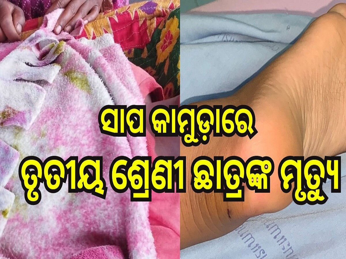 Odisha News: ସାପ କାମୁଡ଼ାରେ ତୃତୀୟ ଶ୍ରେଣୀ ଛାତ୍ରଙ୍କ ମୃତ୍ୟୁ, ଷଷ୍ଠ ଶ୍ରେଣୀ ଛାତ୍ରୀ ଗୁରୁତର